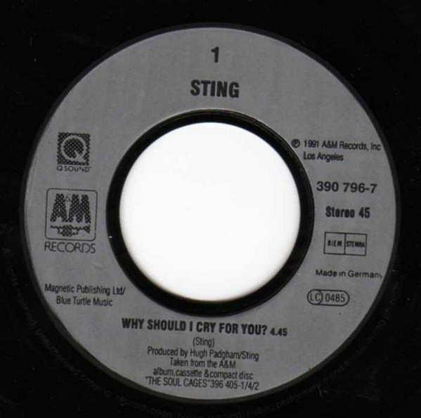 Sting – Why Should I Cry For You? (1991) – Foto 3
