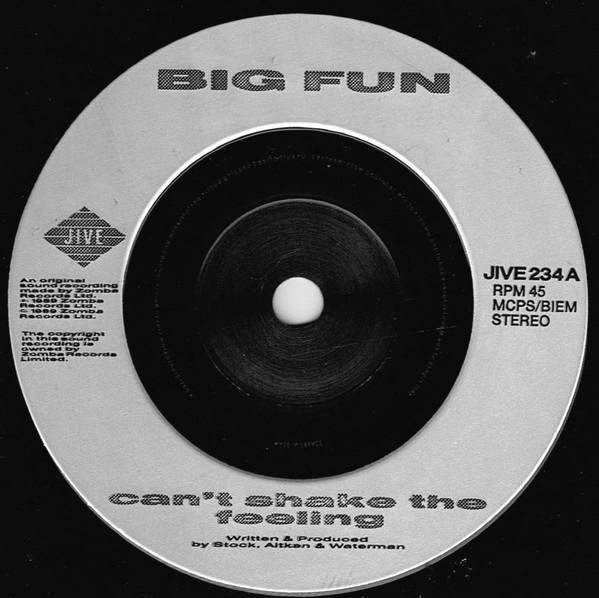 Big Fun – Can't Shake The Feeling (1989) – Foto 2