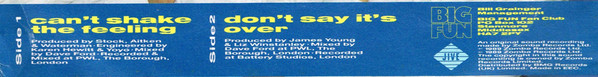 Big Fun – Can't Shake The Feeling (1989) – Foto 3