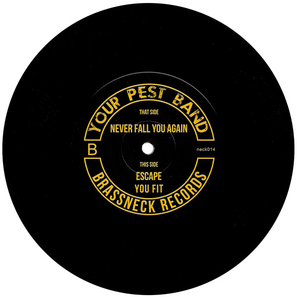 Your Pest Band – Never Fall You Again (2015) – Foto 1