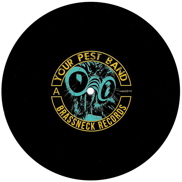 Your Pest Band – Never Fall You Again (2015) – Foto 2