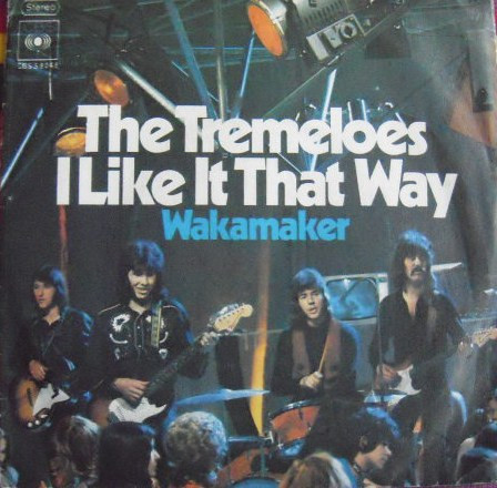 The Tremeloes – I Like It That Way (1972) – Hoes