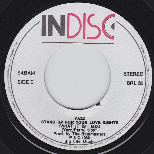 Yazz – Stand Up For Your Love Rights (1988) – Foto 1
