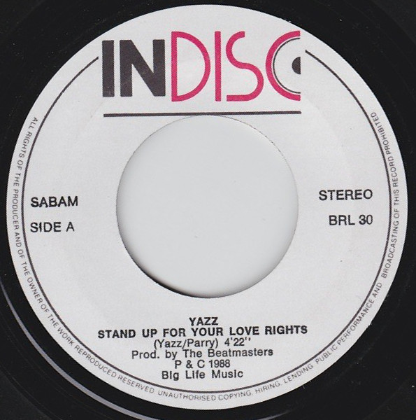 Yazz – Stand Up For Your Love Rights (1988) – Foto 2