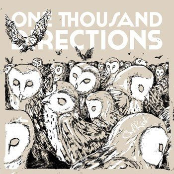 One Thousand Directions – Owl Riot (2012) – Hoes