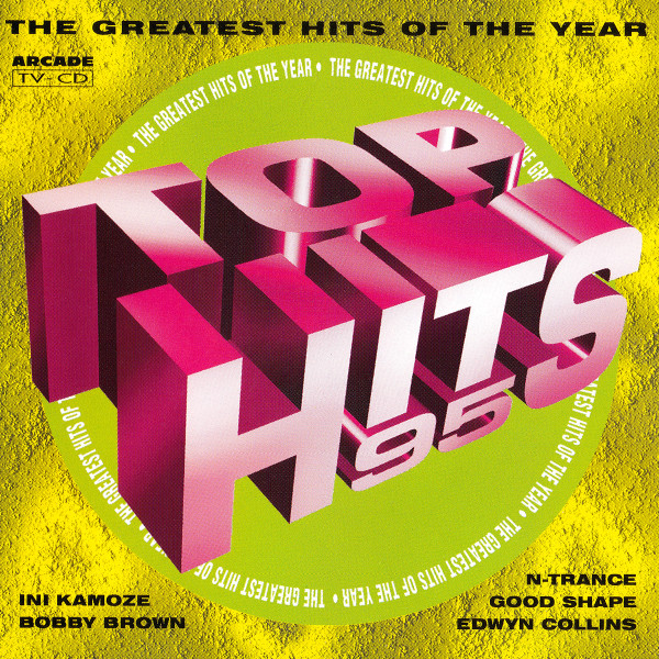 Various – Top Hits 95 (The Greatest Hits Of The Year) (1995) – Hoes