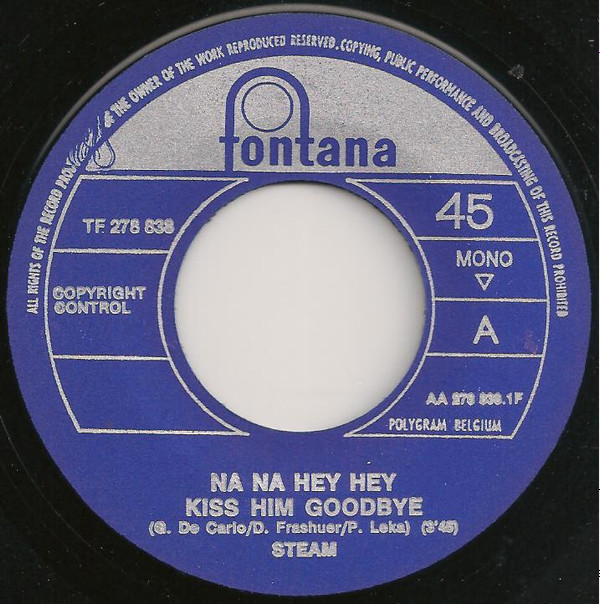 Steam - Na Na Hey Hey Kiss Him Goodbye