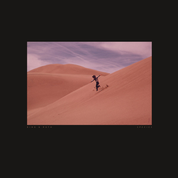 Bing And Ruth – Species (2020) – Hoes