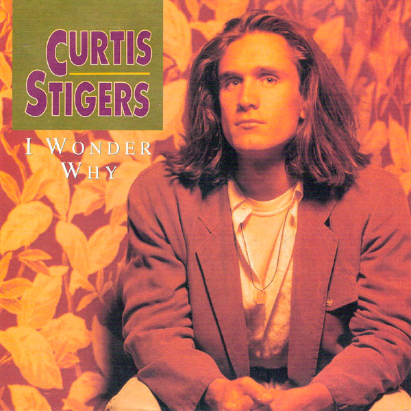 Curtis Stigers – I Wonder Why (1991) – Hoes