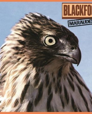 Blackfoot (3) – Marauder (2015) – Hoes