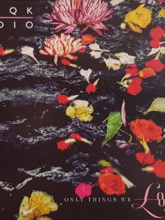Blaqk Audio – Only Things We Love (2019) – Hoes