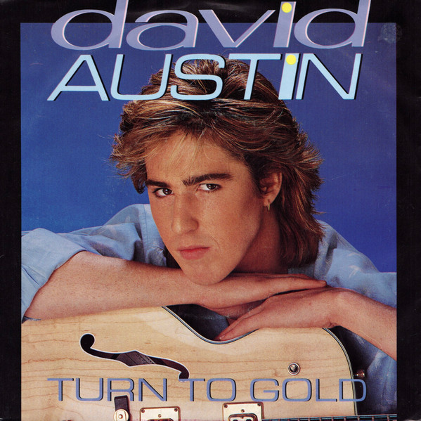 David Austin – Turn To Gold (1984) – Hoes