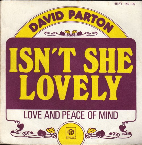 David Parton – Isn't She Lovely (1976) – Hoes