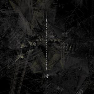 Dragged Into Sunlight – N​.​V. (2015) – Hoes