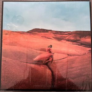 Margo Price – Strays (2023) – Hoes