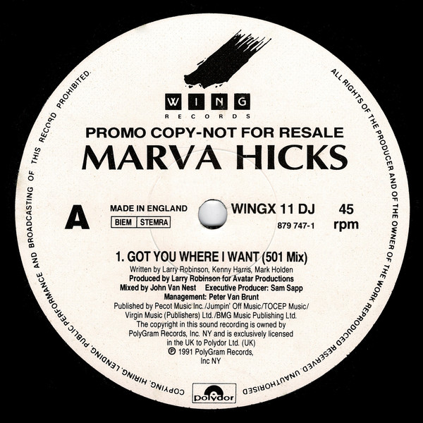 Marva Hicks – I Got You Where I Want (1991) – Hoes