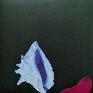 New Order – Touched By The Hand Of God (2024) – Hoes