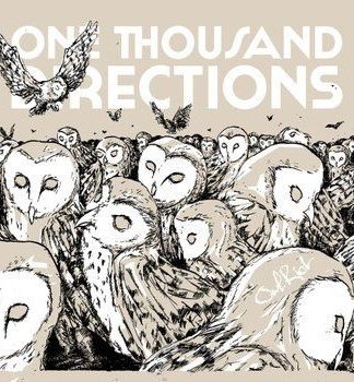 One Thousand Directions – Owl Riot (2012) – Hoes