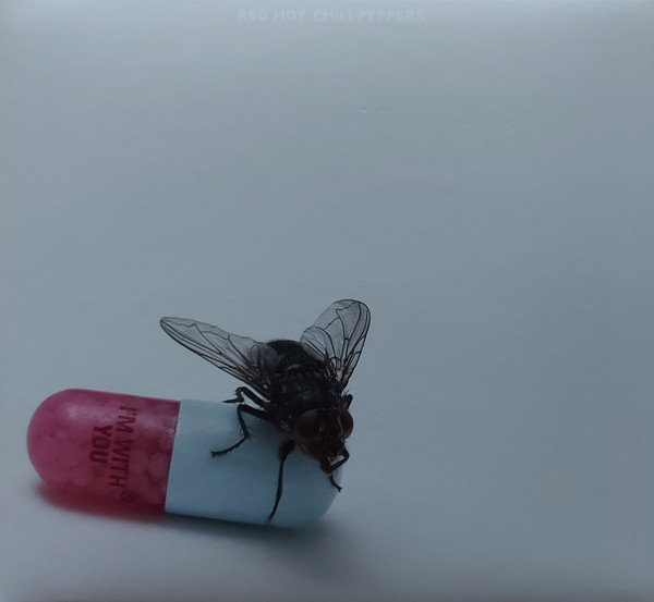Red Hot Chili Peppers – I'm With You (2022) – Hoes