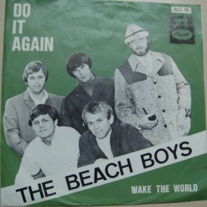 The Beach Boys – Do It Again (1968) – Hoes