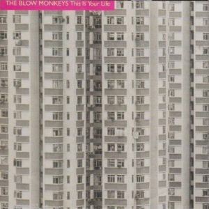 The Blow Monkeys – This Is Your Life (1989) – Hoes