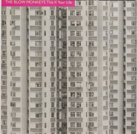 The Blow Monkeys – This Is Your Life (1989) – Hoes