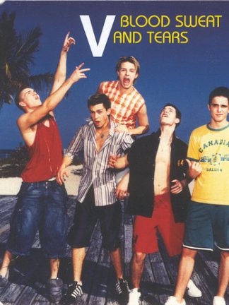 V (9) – Blood Sweat And Tears (2004) – Hoes