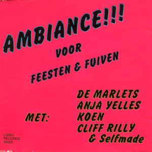Various – Ambiance... Voor Feesten En Fuiven (1990) – Hoes