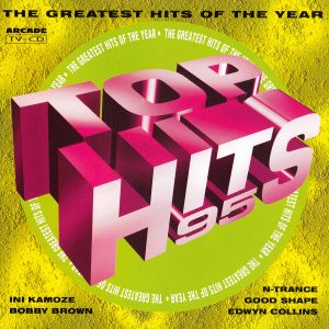Various – Top Hits 95 (The Greatest Hits Of The Year) (1995) – Hoes